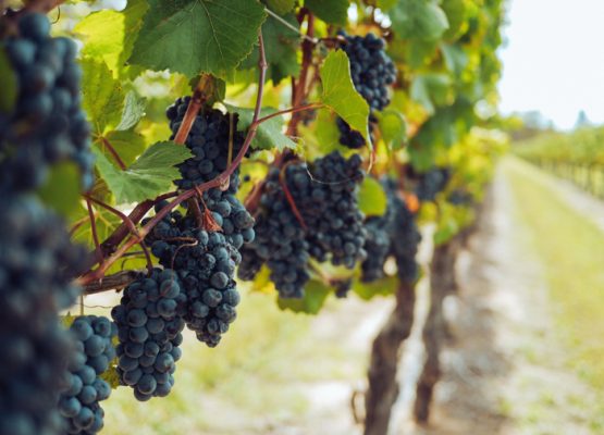 resim7-080820232a46dd5d